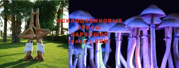 марки nbome Инсар