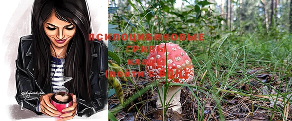 марки nbome Инсар