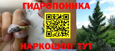 PSILOCYBIN Азнакаево