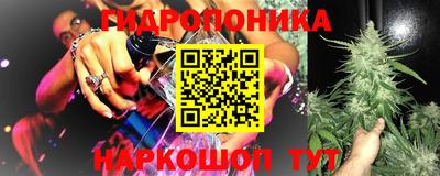 спайс Кинель