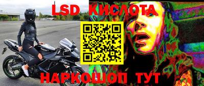 дживик Кингисепп