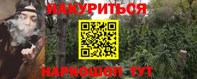 дживик Кингисепп
