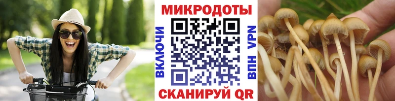 купить наркоту  Невинномысск  Галлюциногенные грибы MAGIC MUSHROOMS 