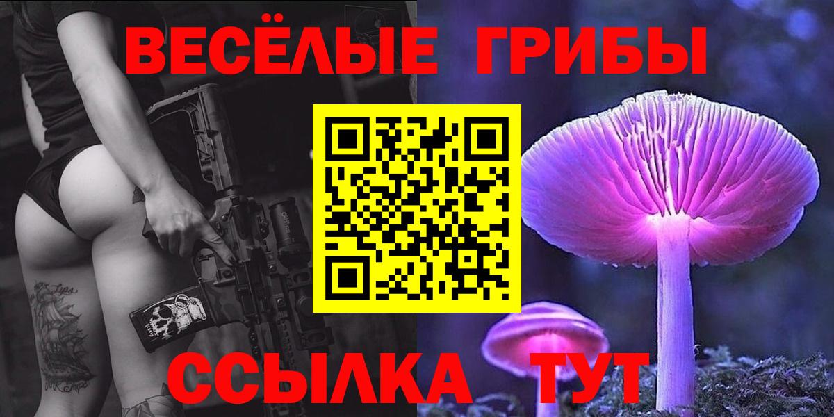 Псилоцибиновые грибы мицелий Невинномысск