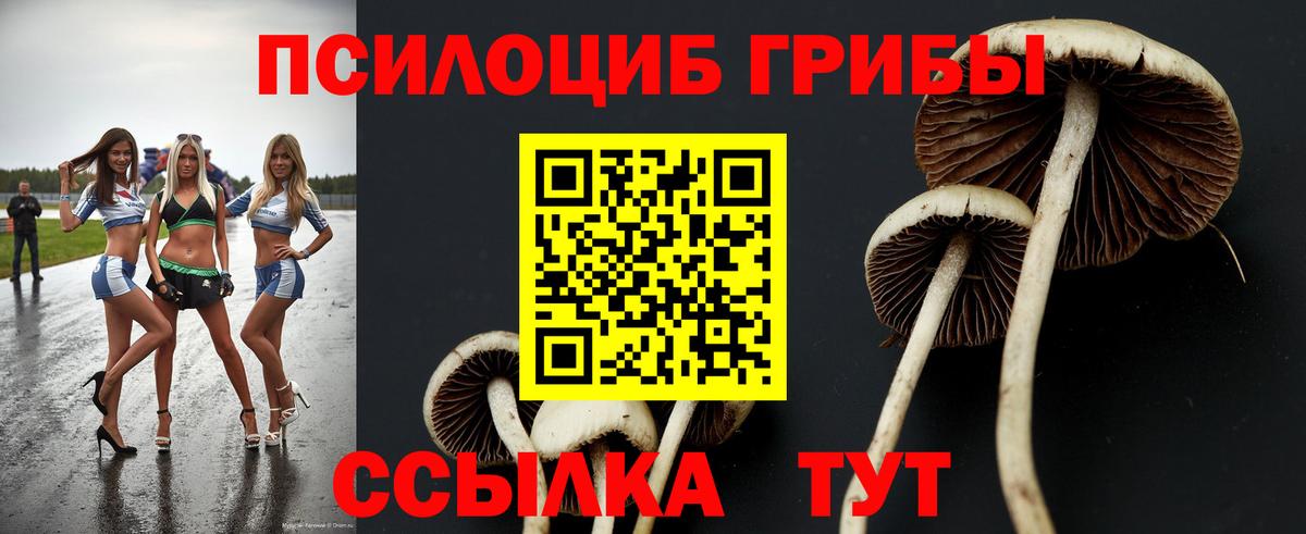 Псилоцибиновые грибы ЛСД  Невинномысск 